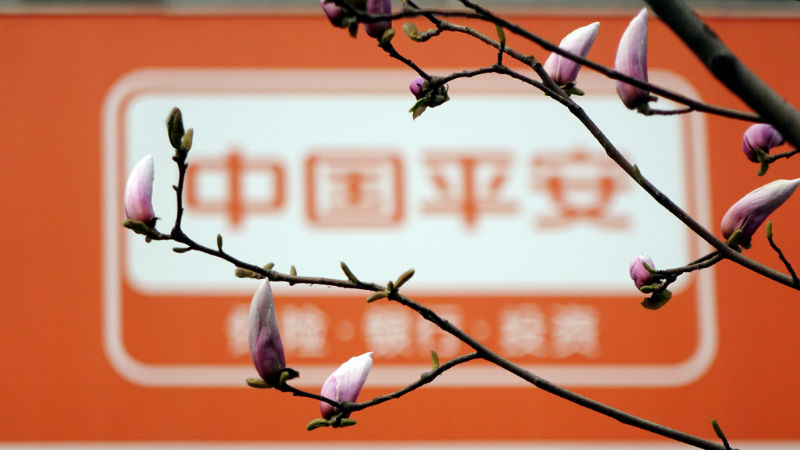 21经济报道 壹钱包_1月28日,21世纪经济报道记者了解到,平安旗下支付公司平安付将于...(3)