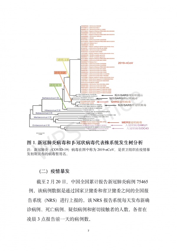 中国-世界卫生组织新型冠状病毒肺炎（COVID-19）联合考察报告_08