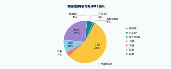 肺癌患者2