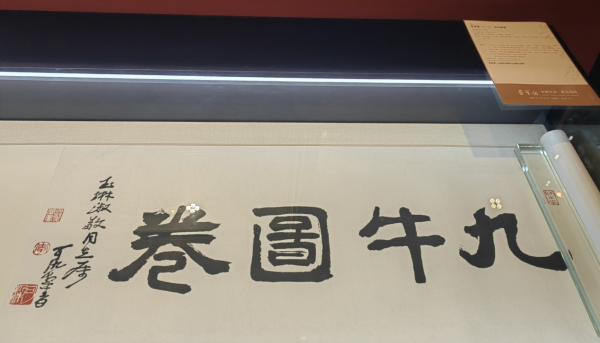 圖片8