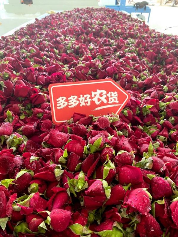 云南省红河州开远市李奕达： “草根电商人”助“开远味道”香飘万家