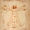meitiguandian