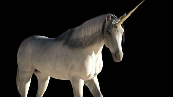 独角兽or"毒角兽"? "拥抱新经济,为a股市场引入源头活水"