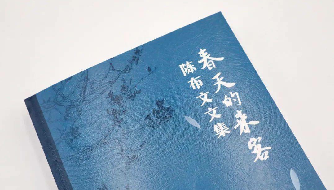 陈布文:我选择自由自在地凋落