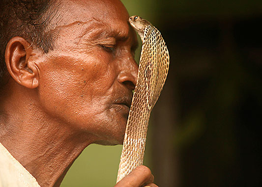 印度,一名训蛇人.